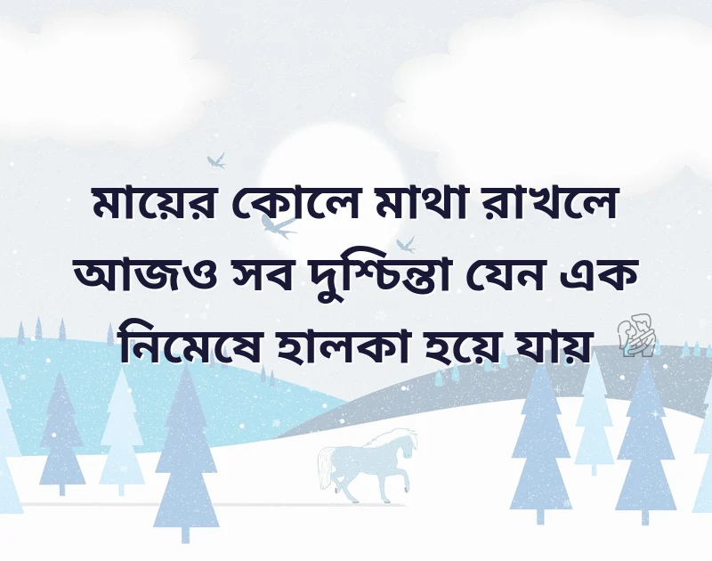 সুন্দর একটি ছবি
