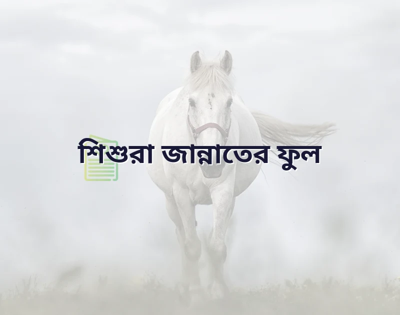 শিশুদের নিয়ে ইসলামিক উক্তি