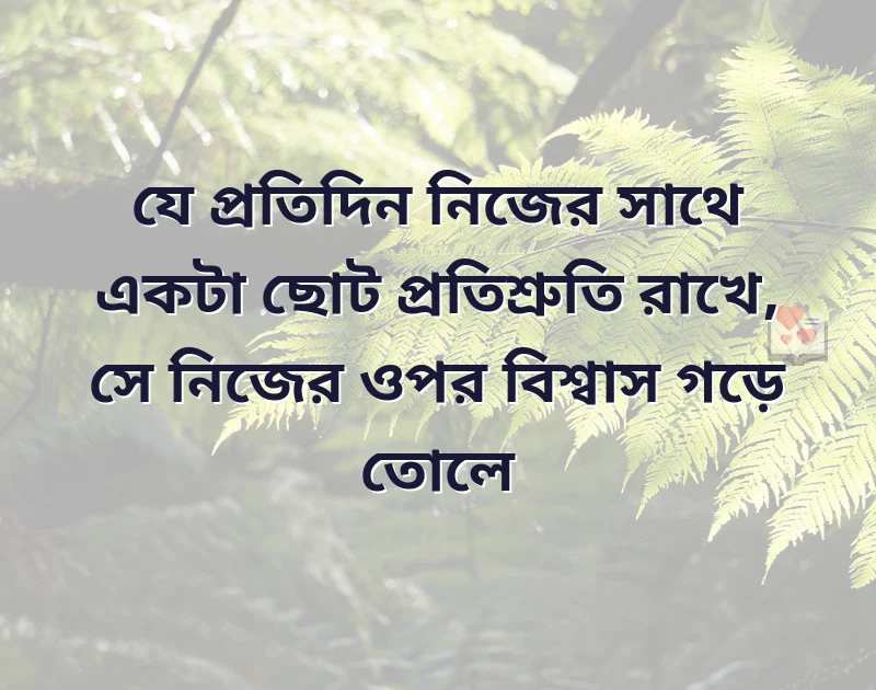 মন ছুঁয়ে যাওয়া ছবি