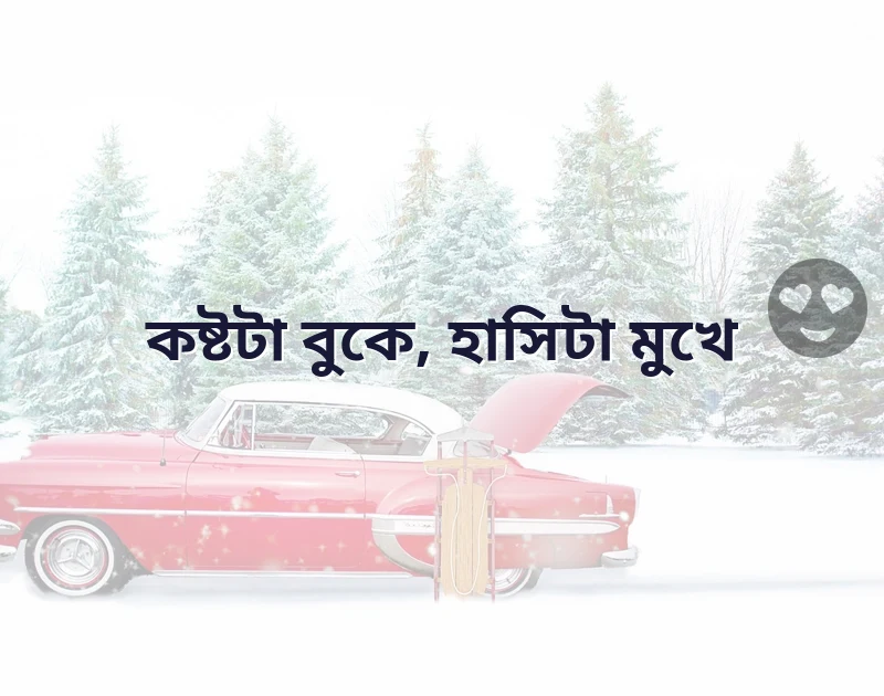 সুন্দর একটি ছবি