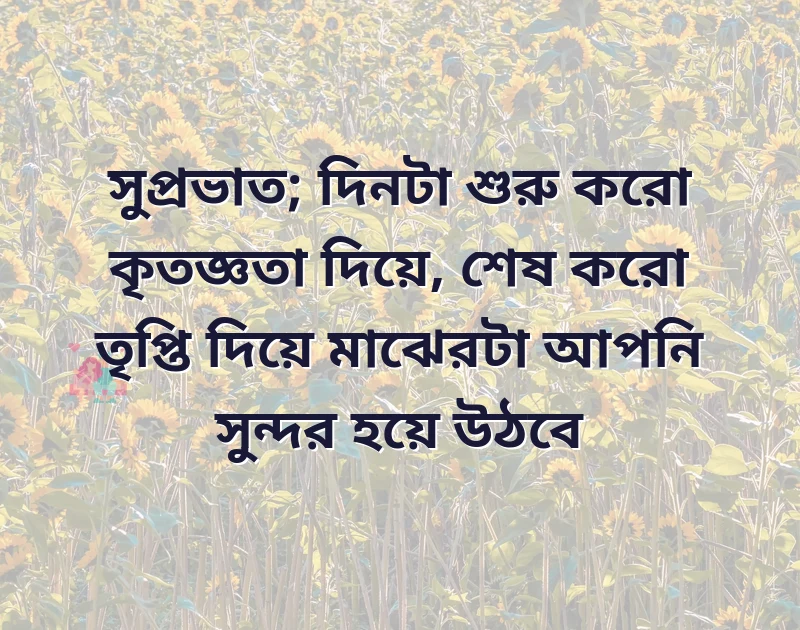 simple love quotes in english