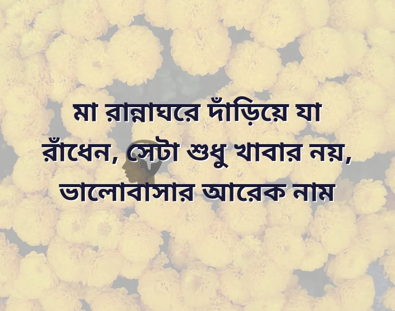 সুন্দর একটি ছবি