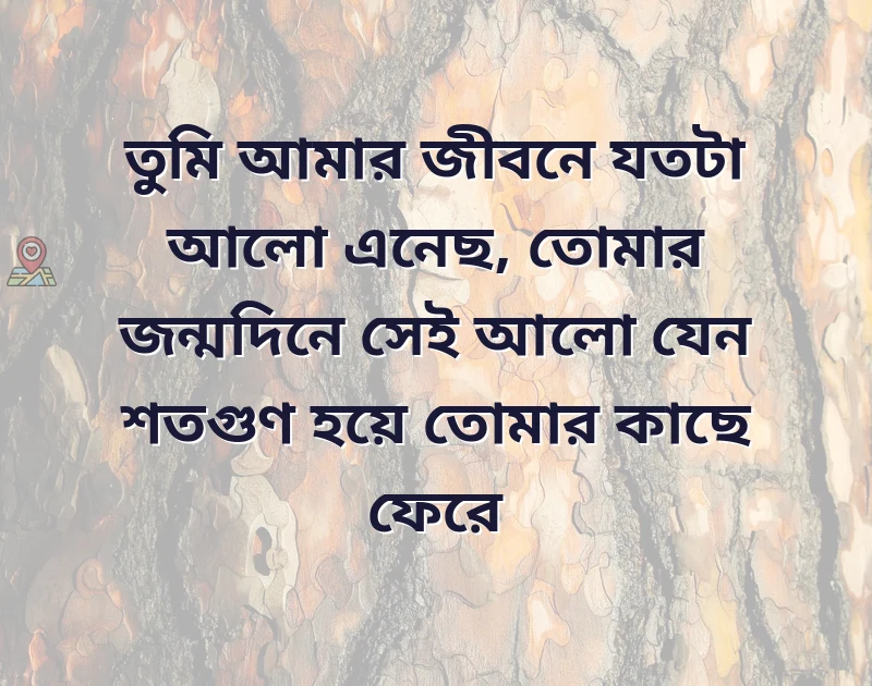 শেয়ার করার মতো ছবি