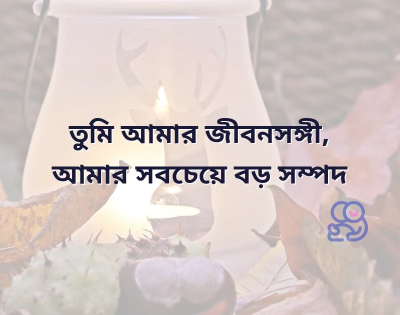 স্ত্রীকে ভালোবাসার মেসেজ