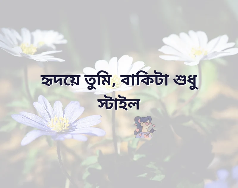 পছন্দের একটি ছবি