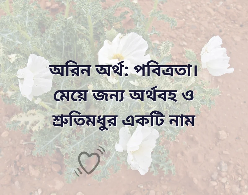 স্টাইলিশ ফেসবুক আইডির নাম মেয়েদের