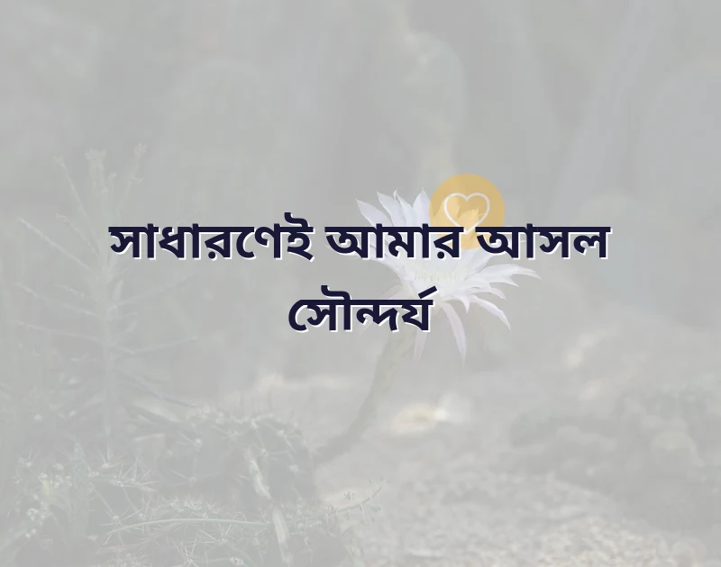 স্টাইলিশ ফেসবুক ক্যাপশন বাংলা