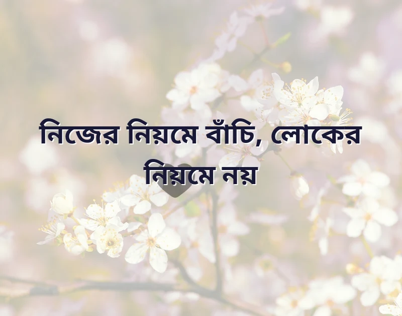 পছন্দের একটি ছবি