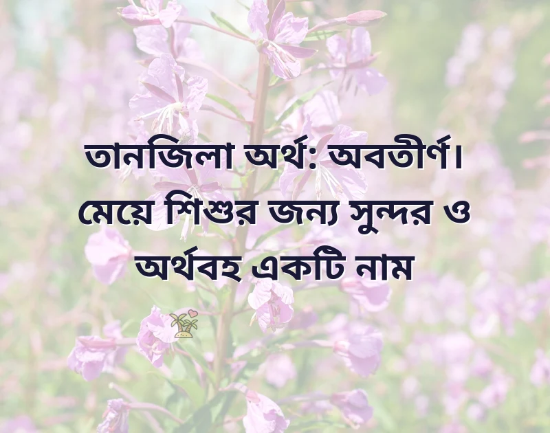 মন ছুঁয়ে যাওয়া ছবি