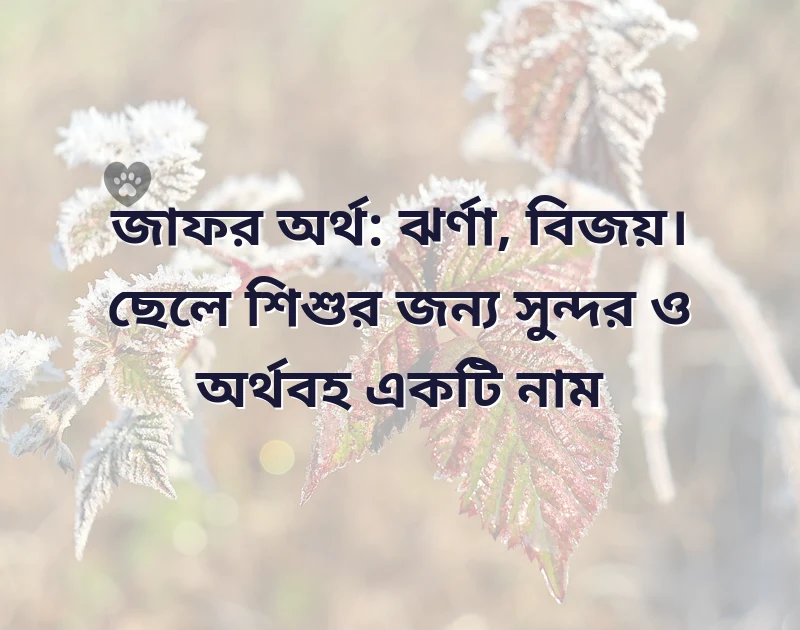 ত দিয়ে কোরআন থেকে ছেলেদের নাম