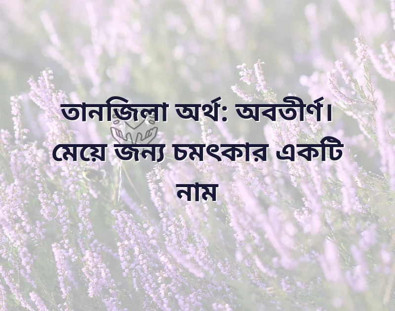 পছন্দের একটি ছবি