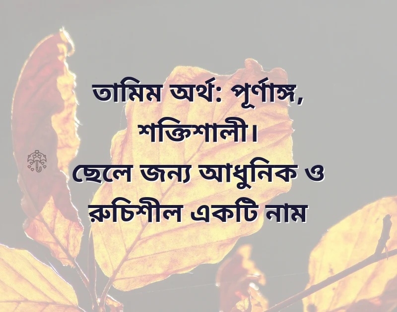 শেয়ার করার মতো ছবি