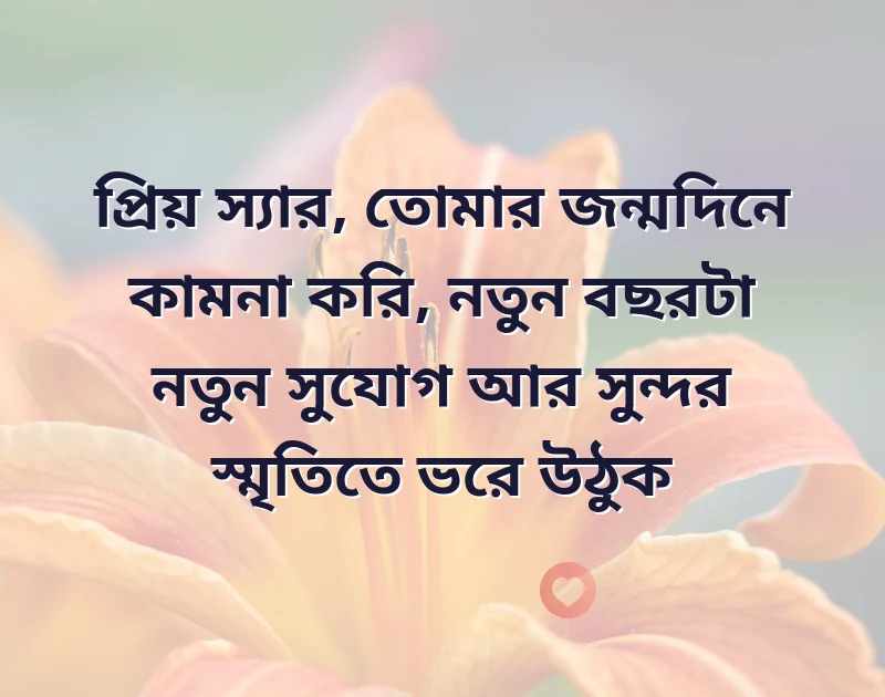 সুন্দর একটি ছবি
