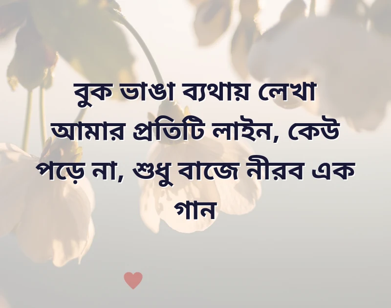 সুন্দর একটি ছবি
