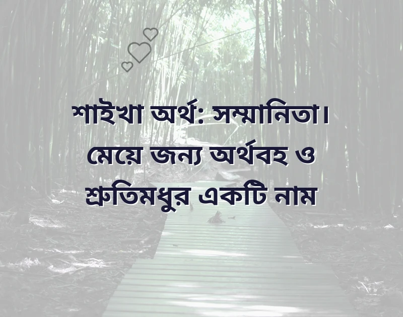 টিকটক আইডির নাম