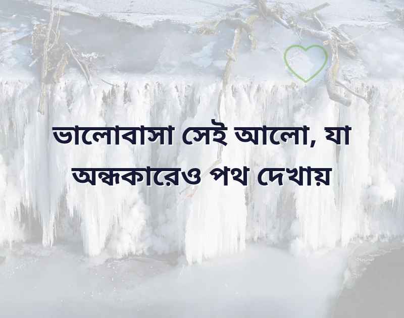 পছন্দের একটি ছবি
