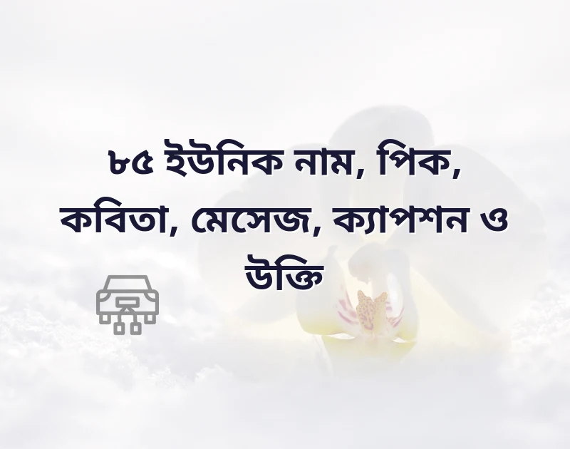 ইউনিক নাম