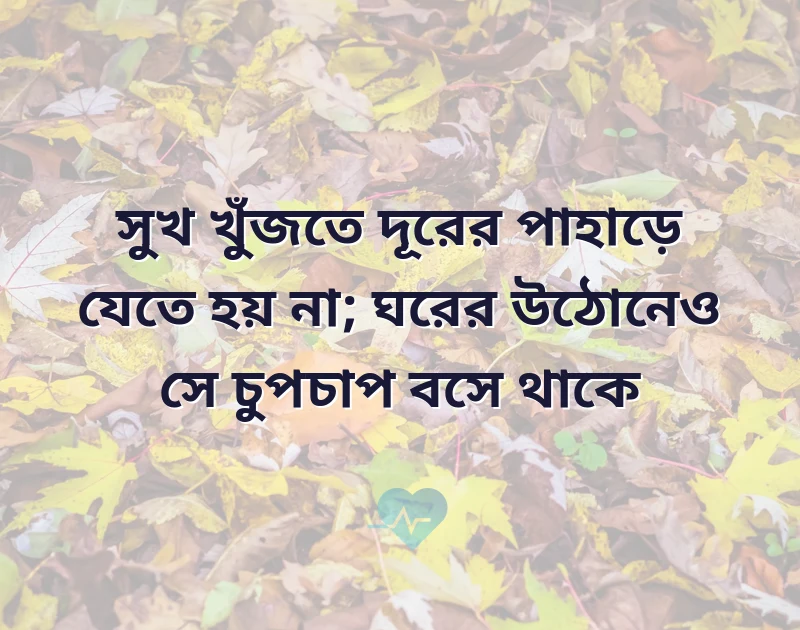 শেয়ার করার মতো ছবি