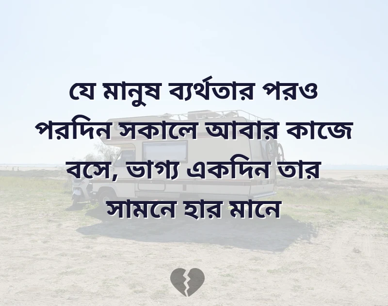 সুন্দর একটি ছবি