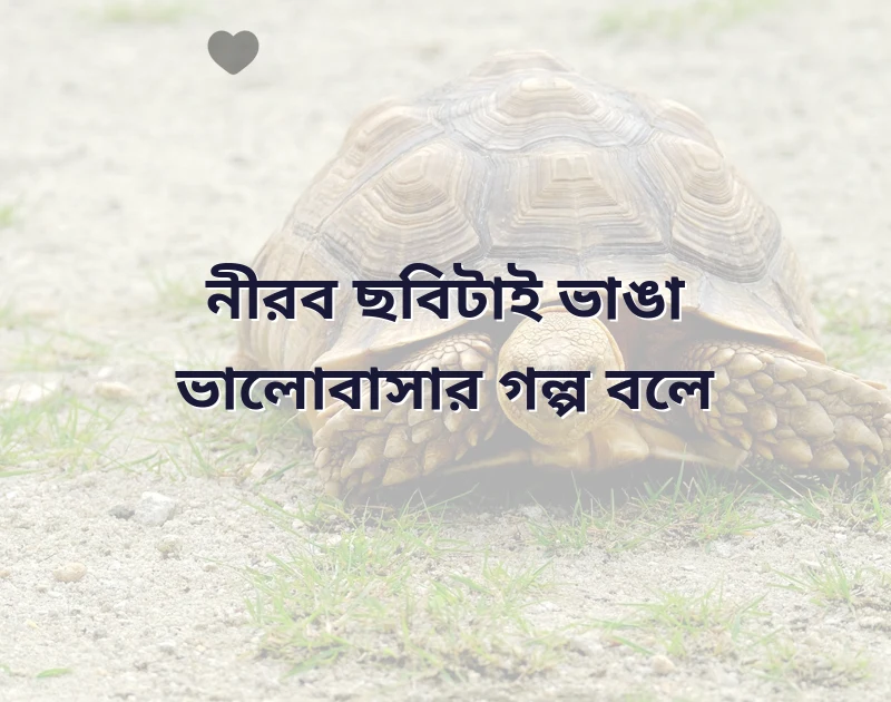 ভালবাসার কষ্টের ছবি