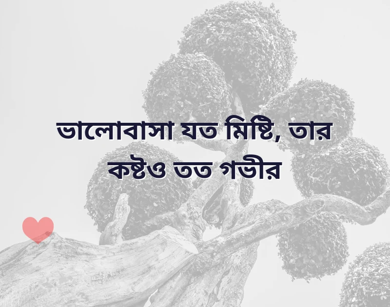 ভালোবাসা কষ্ট