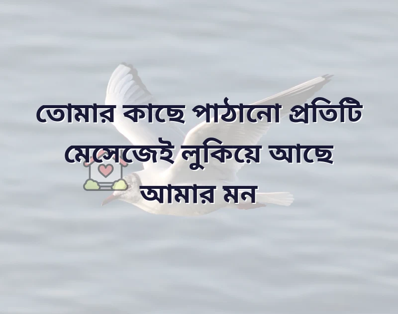 ভালোবাসা মেসেজ