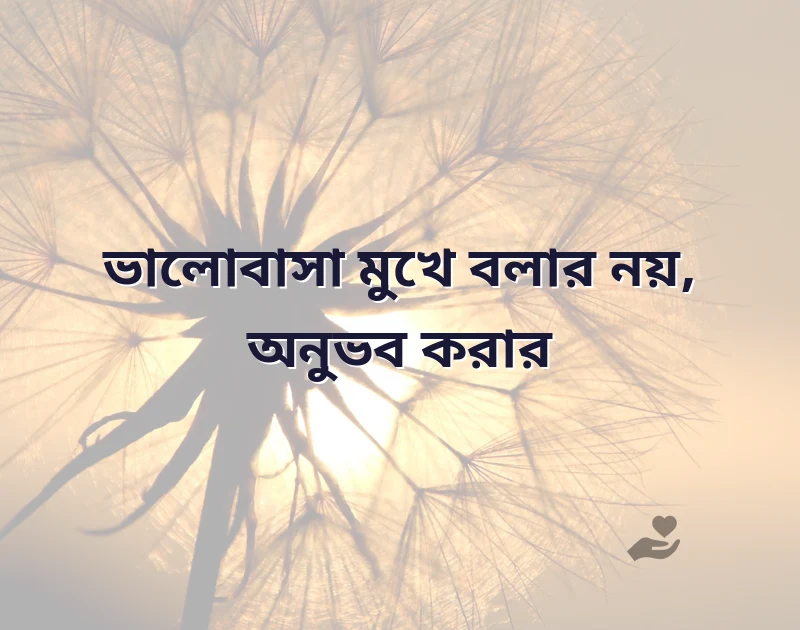 ভালোবাসা নিয়ে কথা