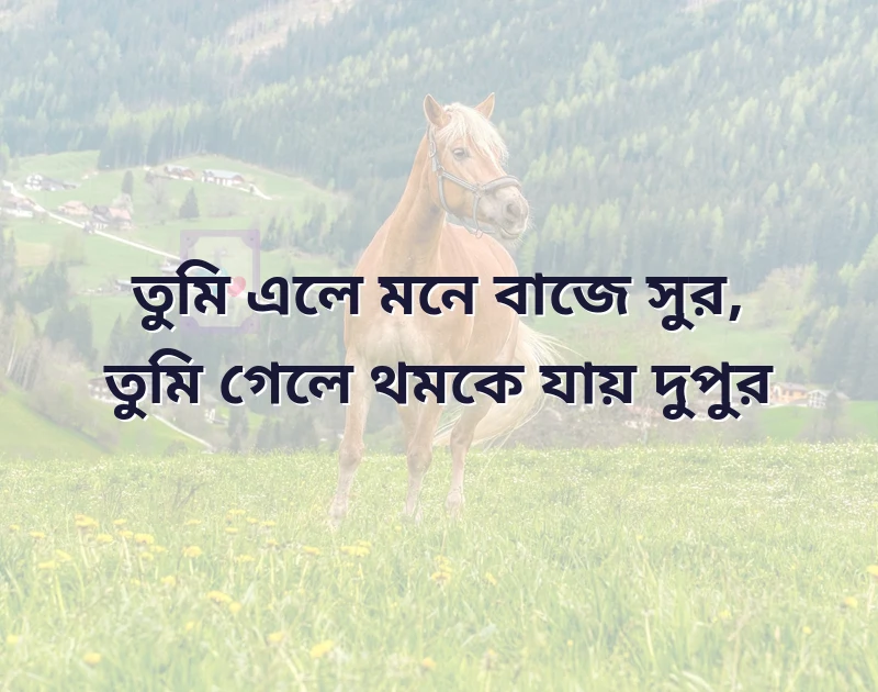 মন ছুঁয়ে যাওয়া ছবি