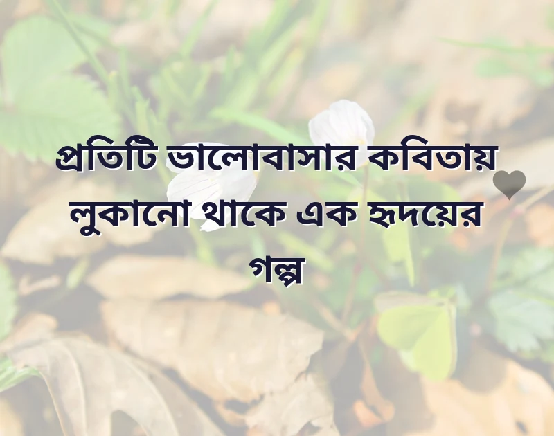 দারুণ একটি ছবি