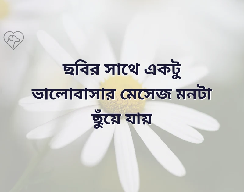 ভালোবাসার মেসেজ পিকচার