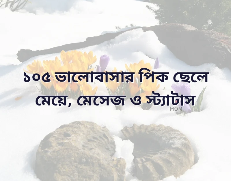 ভালোবাসার পিক ছেলে মেয়ে