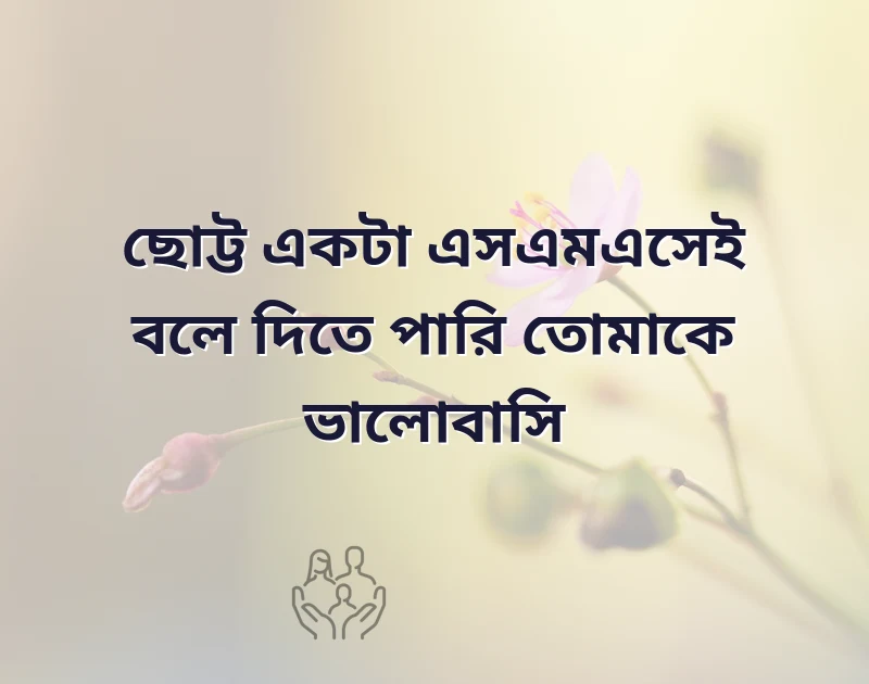 সুন্দর একটি ছবি