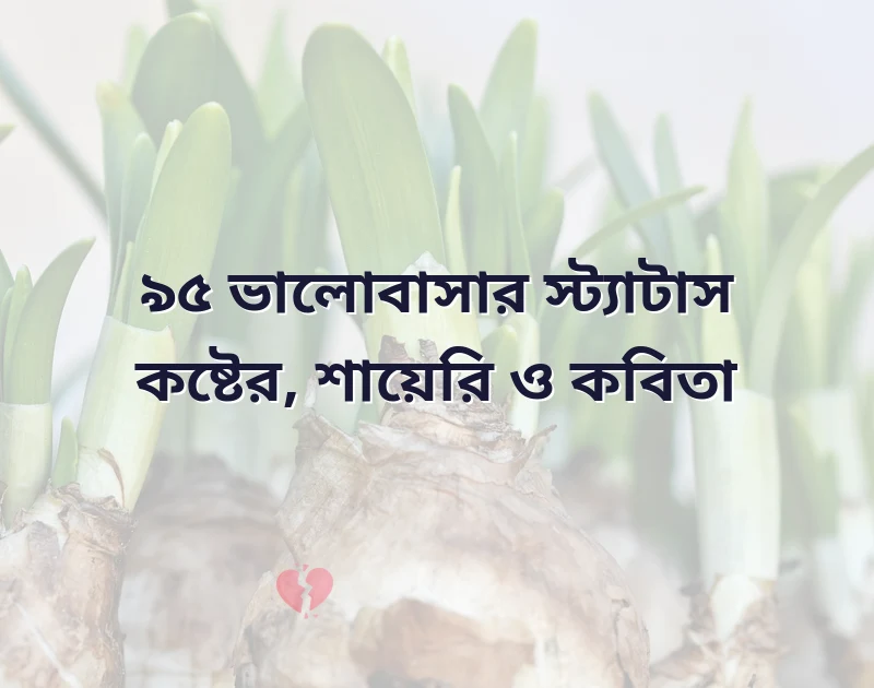 ভালোবাসার স্ট্যাটাস কষ্টের