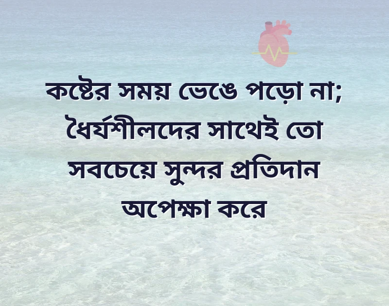 vip bio bangla