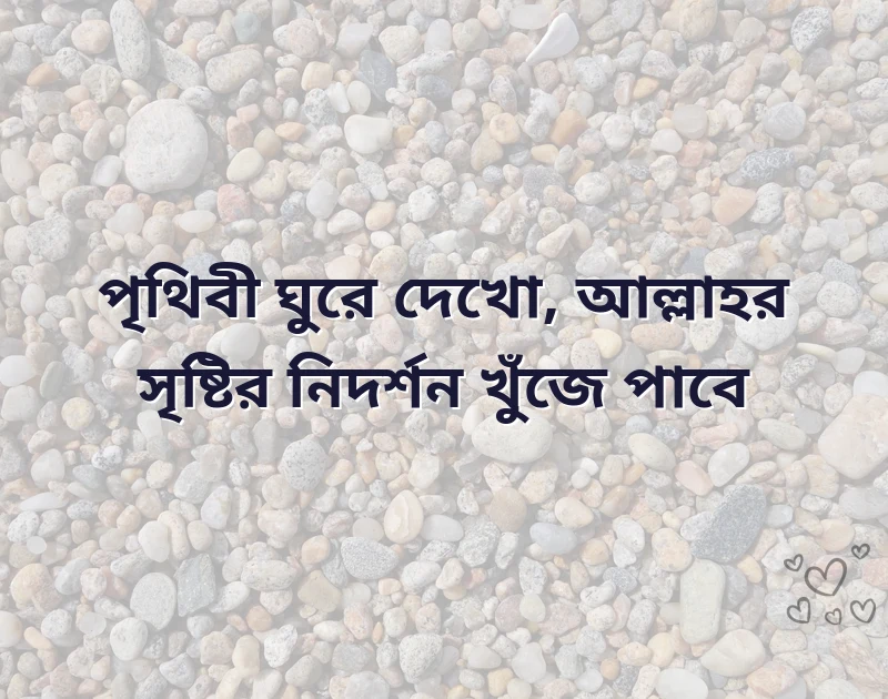 দারুণ একটি ছবি