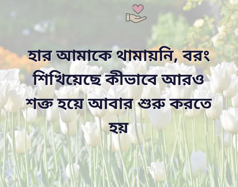 whatsapp best dp