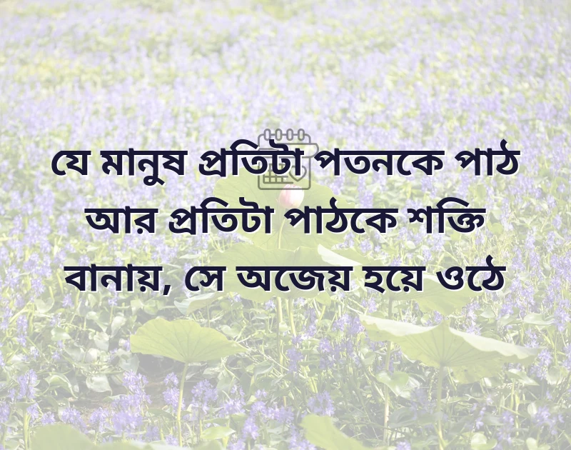 whatsapp dp new 2020