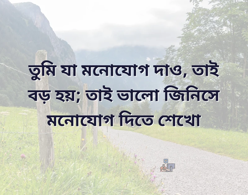 whatsapp dp picture