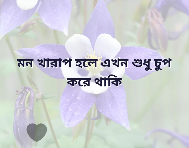 whatsapp status sad bengali