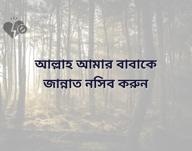 মন ছুঁয়ে যাওয়া ছবি