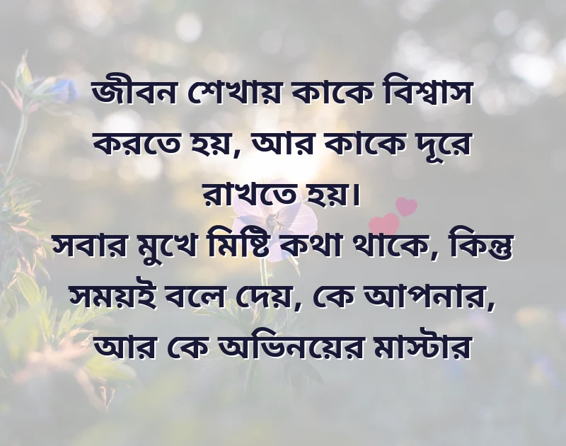 মন ছুঁয়ে যাওয়া ছবি