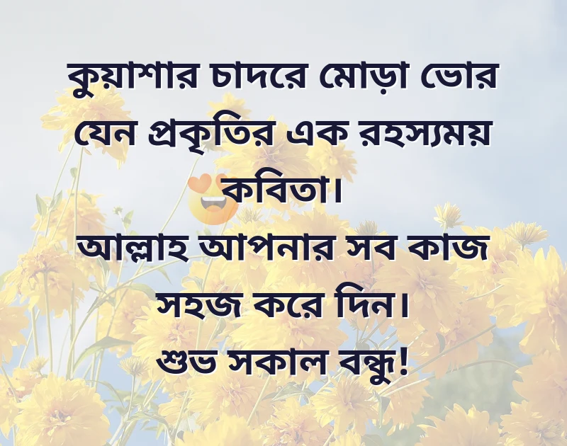 বাংলা কুয়াশায় ঘেরা সকাল