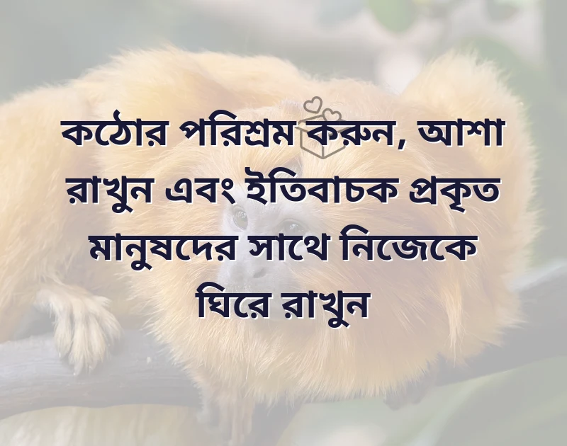 মন ছুঁয়ে যাওয়া ছবি