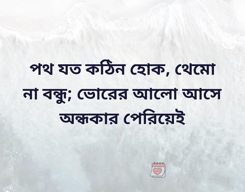 সুন্দর একটি ছবি