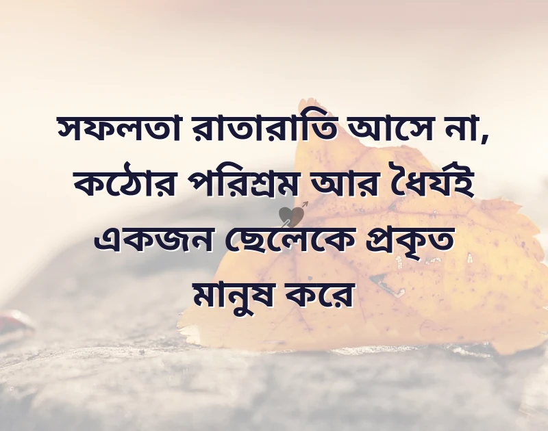 শেয়ার করার মতো ছবি