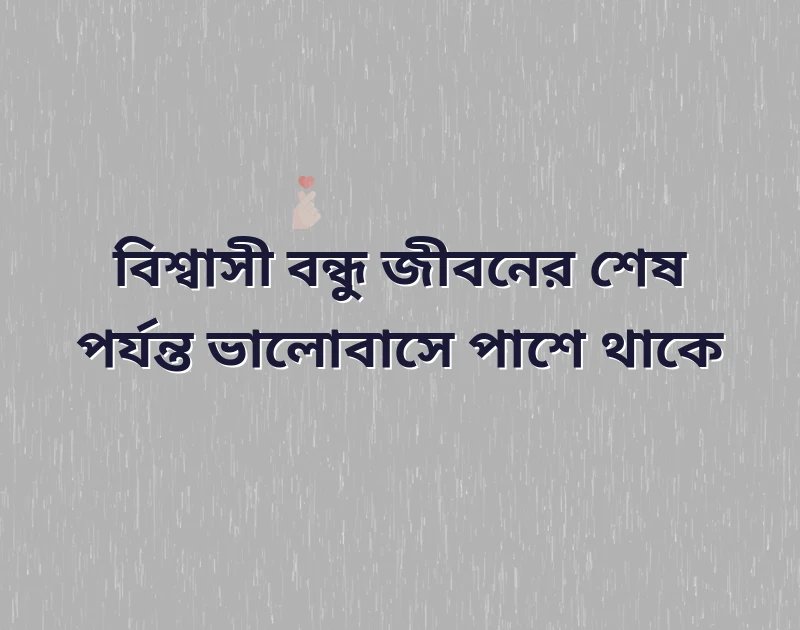 মন ছুঁয়ে যাওয়া ছবি
