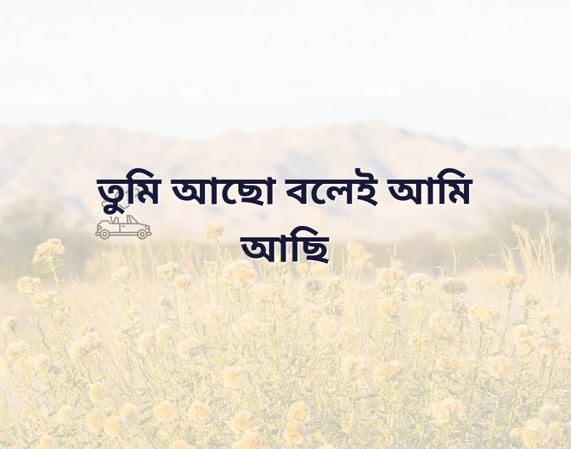 bangla stylish status