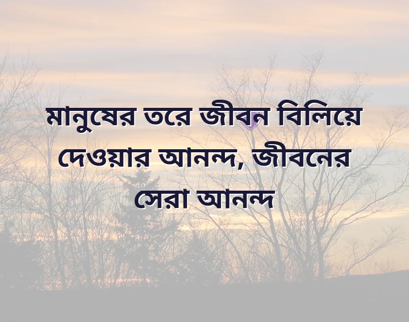 পছন্দের একটি ছবি