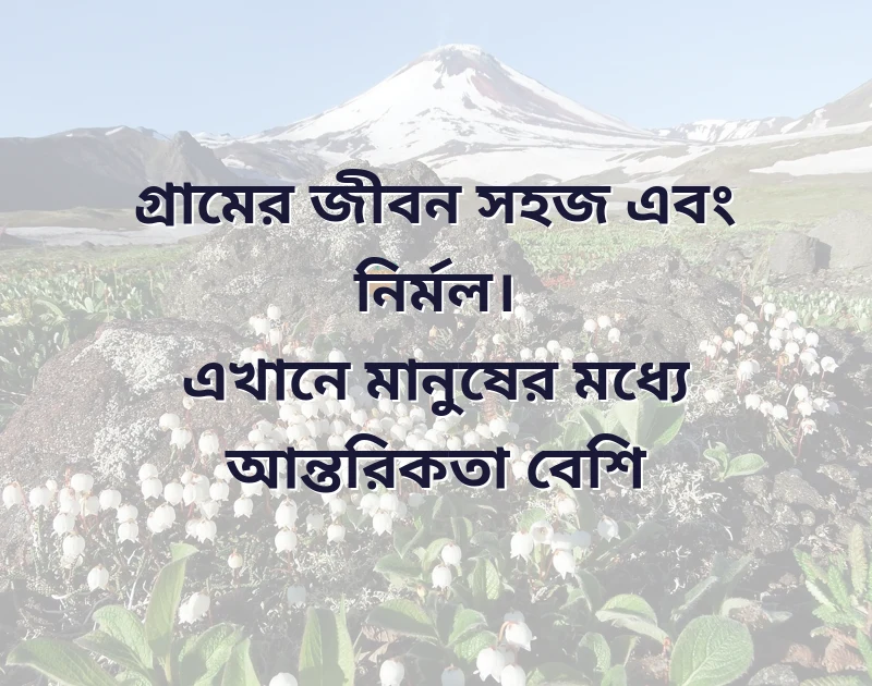 মন ছুঁয়ে যাওয়া ছবি