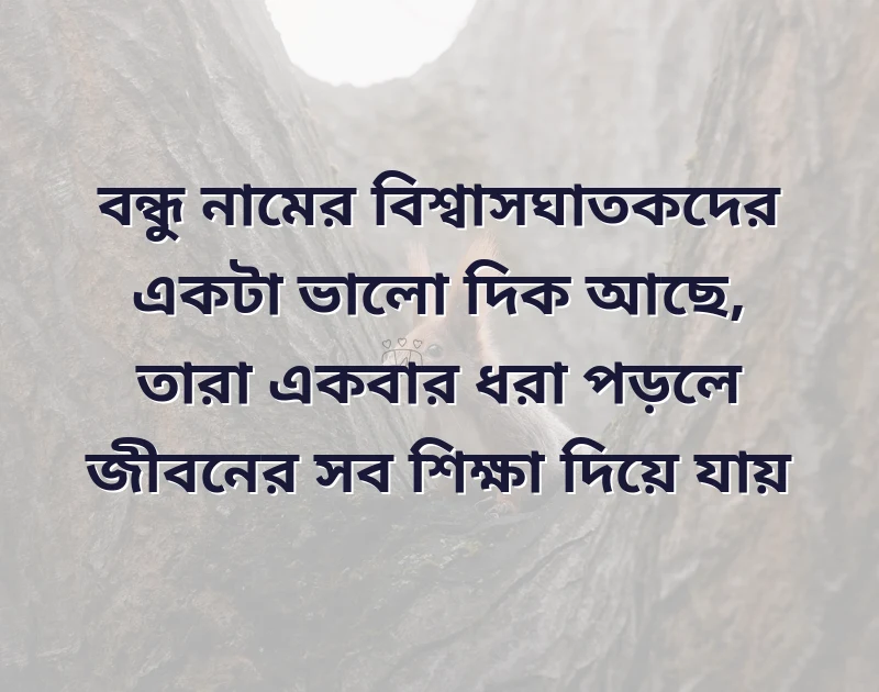বেইমান বন্ধু নিয়ে উক্তি